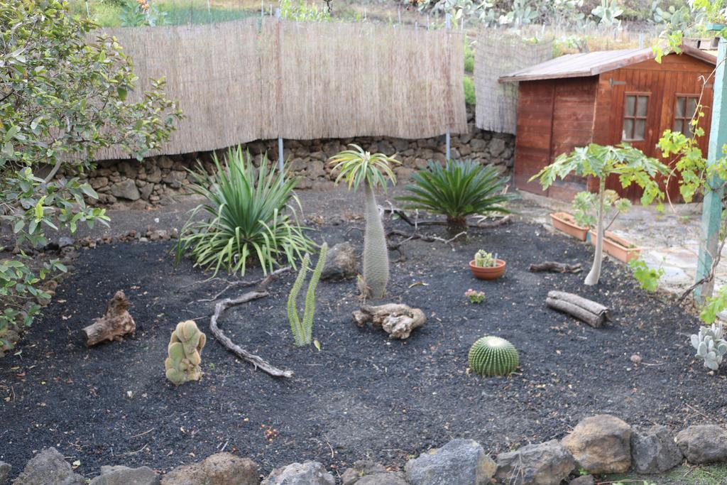 La Alpispa San Francisco de Paula Ngoại thất bức ảnh